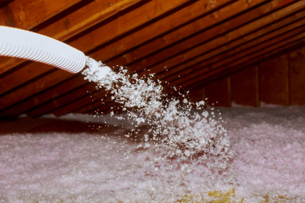 Best Residential Insulation Services  in Watertown, FL