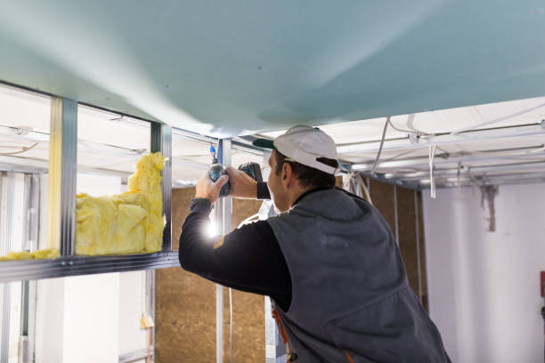 Best Local Insulation Services  in Watertown, FL