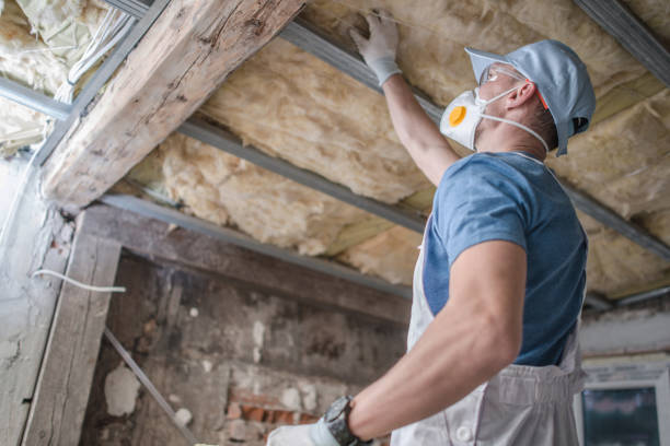 Best Insulation Removal Services  in Watertown, FL