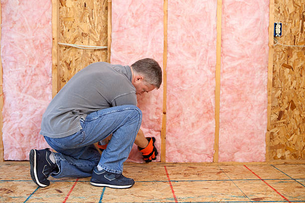 Best Wall Insulation Contractor  in Watertown, FL